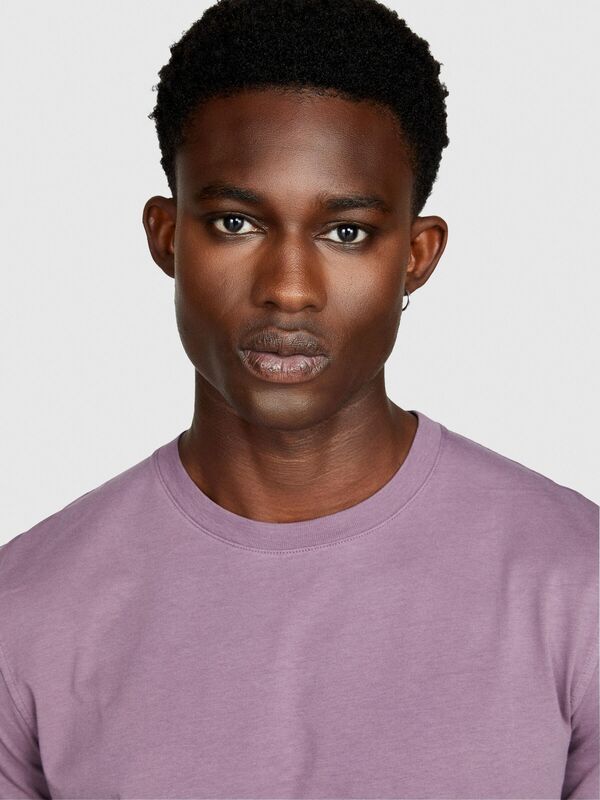 %100 Koton Regular Fit T-Shirt Erkek Mor T-Shirt - 323A3096S101J