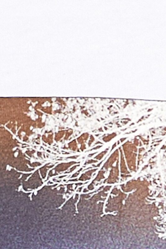 %100 Koton Tematik Baskılı T-Shirt Erkek Beyaz T-Shirt - 323A3096S102Q