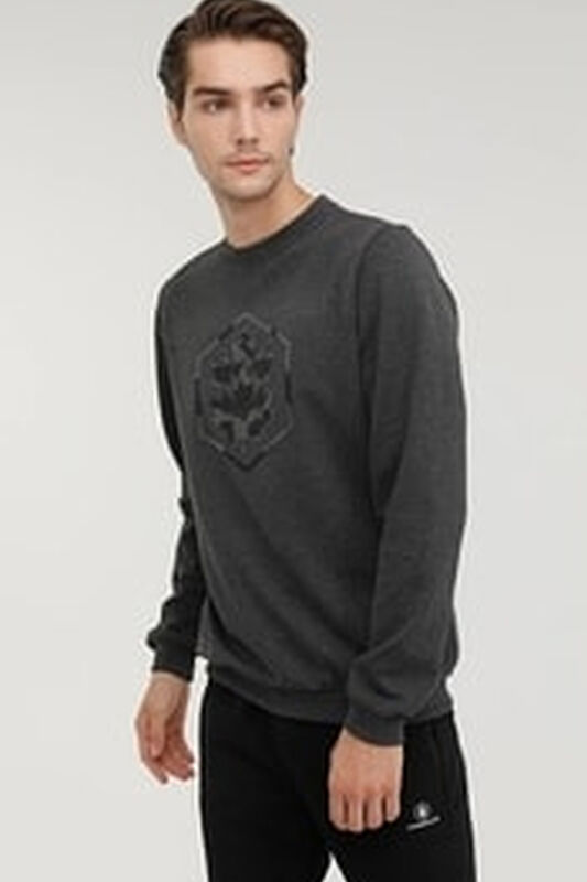 2W M-SD4001 ARON SWEATSHIRT 2PR Erkek Koyu Gri Sweatshirt - 100002613