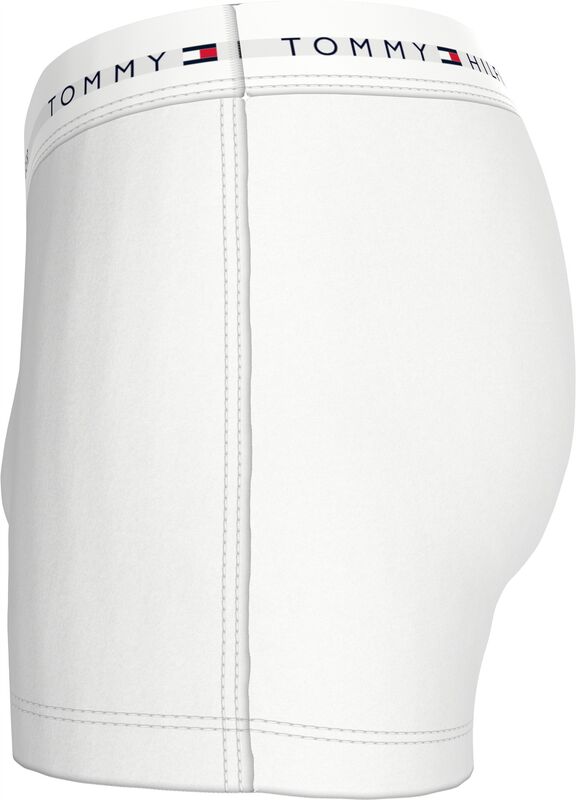 3P TRUNK DTM Erkek Siyah Boxer - UM0UM03523