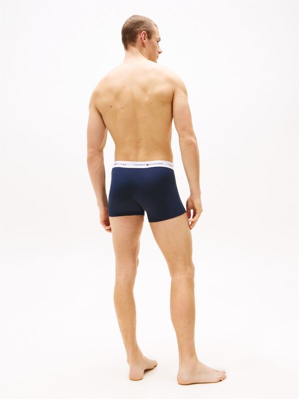 3P TRUNK PRINT Erkek Gri Boxer - UM0UM02768