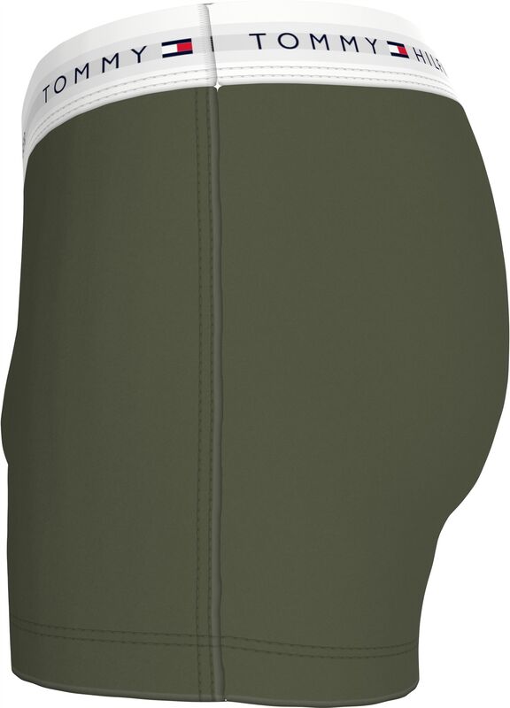 3P TRUNK PRINT Erkek Gri Boxer - UM0UM02768