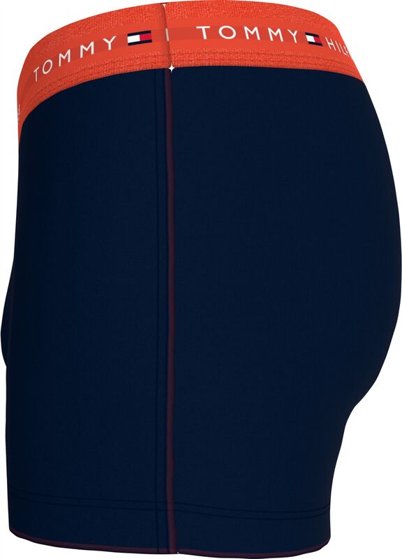 3P WB TRUNK Erkek Kahverengi Boxer - UM0UM02763