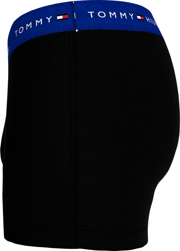 3P WB TRUNK Erkek Boxer - UM0UM02763