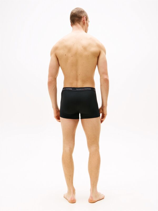 3P WB TRUNK Erkek Boxer - UM0UM02763