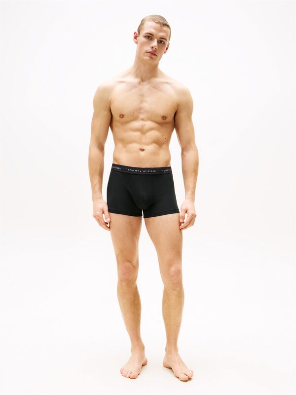 3P WB TRUNK Erkek Boxer - UM0UM02763