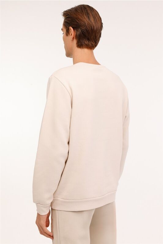 4W ML ARON 16SD4001 4PR Erkek Açık Gri Sweatshirt - L101899185