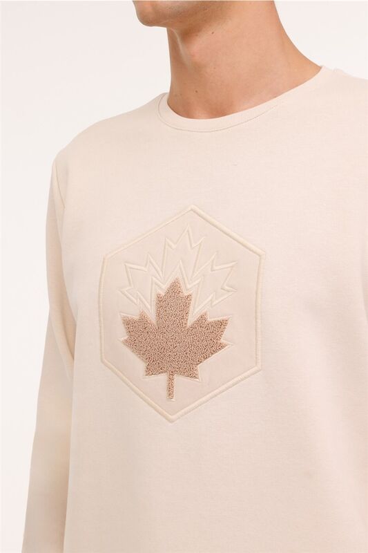 4W ML ARON 16SD4001 4PR Erkek Açık Gri Sweatshirt - L101899185