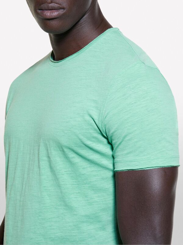 Erk_%100 Pamuk Bisiklet Yaka Slim Fit Slub T-Shirt Erkek Soluk Yeşil T-Shirt - 324A3WF0S101K