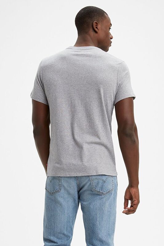 GRAPHIC SETIN NECK HM GRAPHIC TR WHITE Erkek Gri T-Shirt - 17783