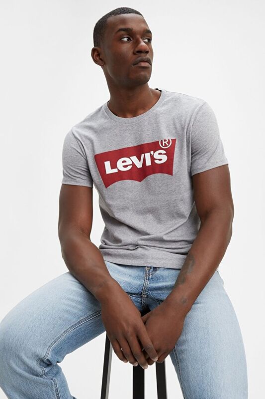 Levi's - GRAPHIC SETIN NECK HM GRAPHIC TR WHITE Erkek Gri T-Shirt - 17783