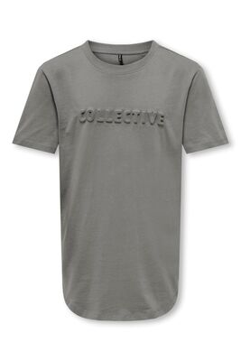 Only - KOBALAN S/S COLLECTIVE TEE BOX JRS Erkek Çocuk Gri T-Shirt - 15303796