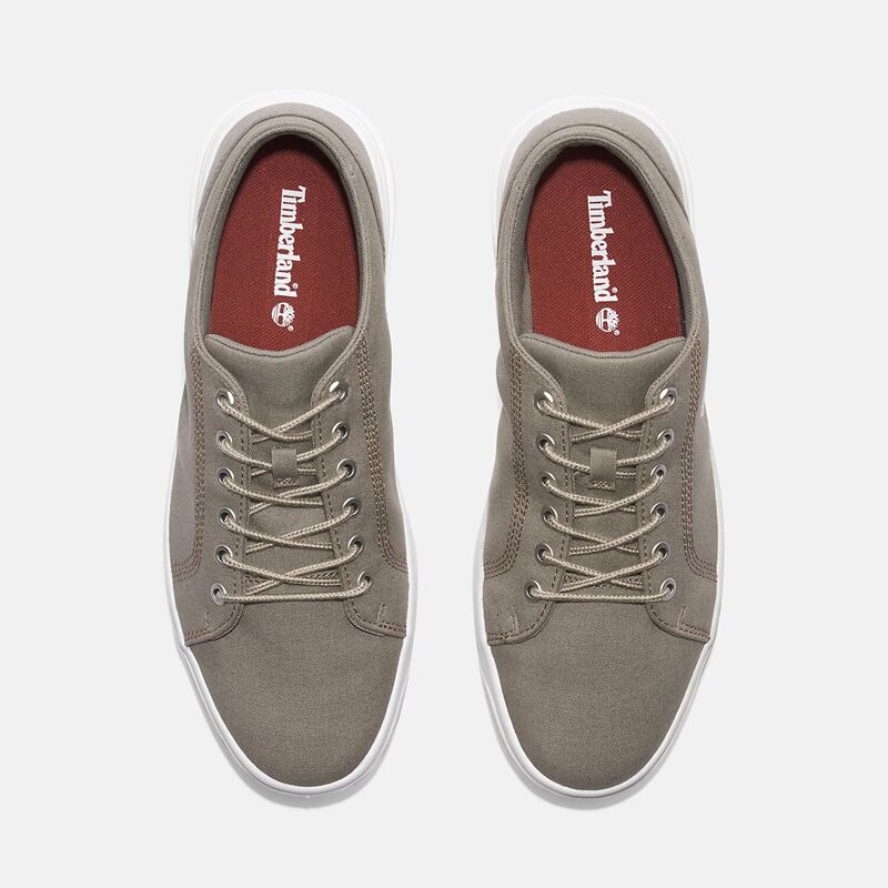 LOW LACE UP SNEAKER Erkek Bej Günlük Ayakkabı - TB0A67E1