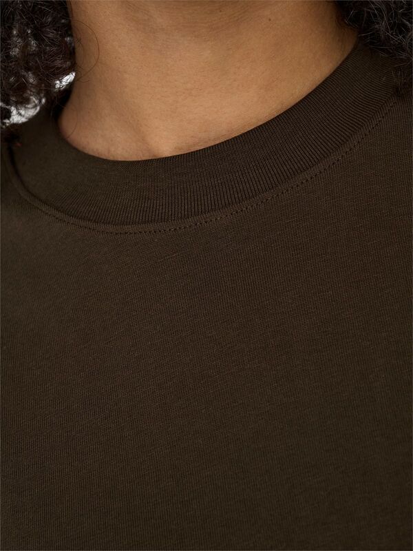 ONLMONJA LIFE S/S TEE JRS NOOS Kadın Kahverengi T-Shirt - 15320892