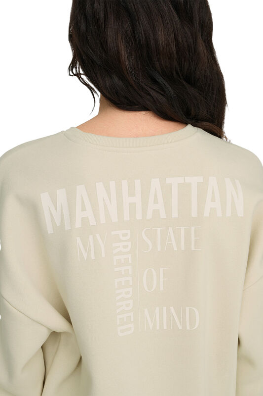 ONLZENJA BOXY L/S BOX SWT Kadın Birch Sweatshirt - 15275525