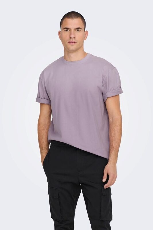 ONSFRED LIFE RLX SS TEE NOOS Erkek Gri Sweatshirt - 22022532