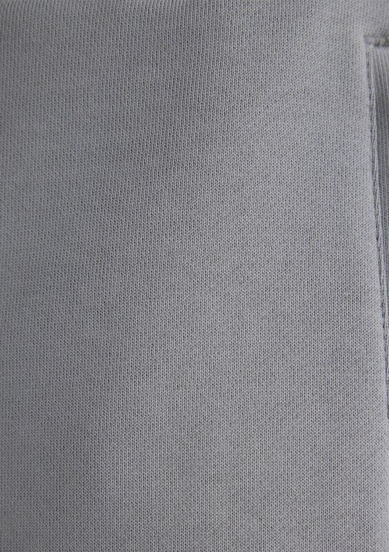 ŞORT Erkek Gri Şort - M0410165