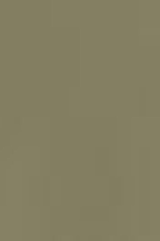 SS ORIGINAL HM TEE LSE_OLIVE NIGHT GREE Erkek Yeşil T-Shirt - 56605