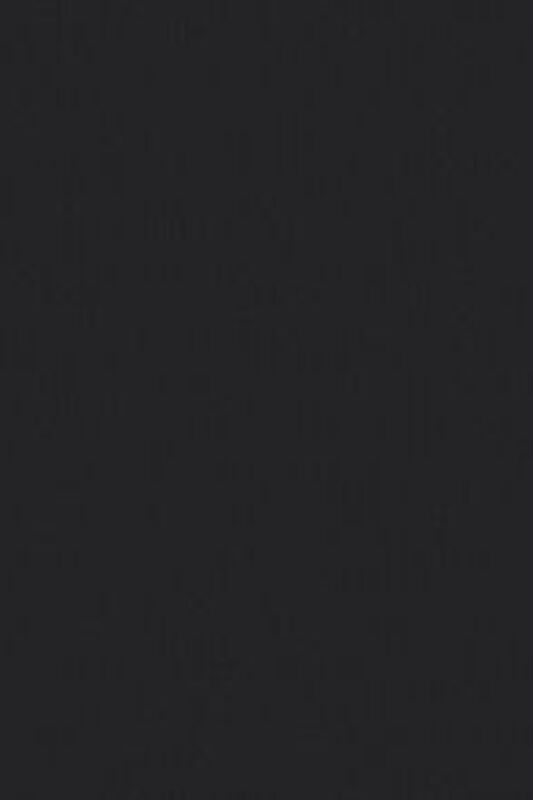 THE PERFECT TEE TR SPORTSWEAR LOGO WHIT Kadın Siyah T-Shirt - 17369