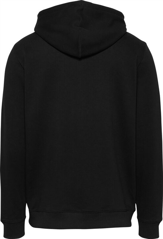 TJM REG ENTRY GRAPHIC HOODIE EXT Erkek Siyah Sweatshirt - DM0DM20847