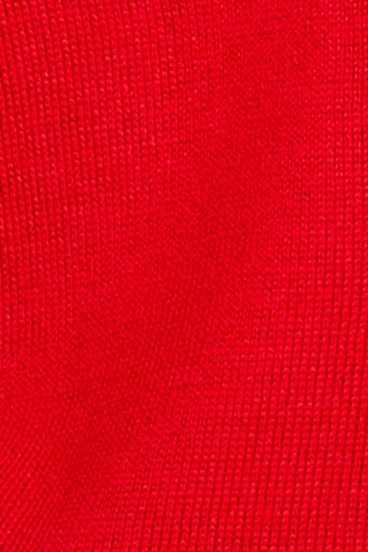 Yün Karışımlı Regular Fit Dik Yaka Kazak Kadın Kırmızı Kazak - 323A11BAM201C